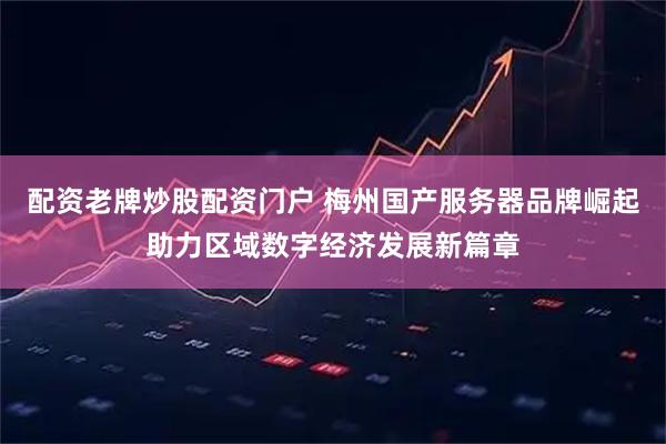 配资老牌炒股配资门户 梅州国产服务器品牌崛起助力区域数字经济发展新篇章